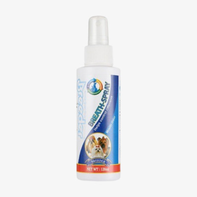 브리더 구강스프레이 120ml