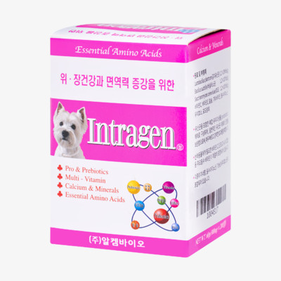인트라젠 종합영양제 타블렛 200정