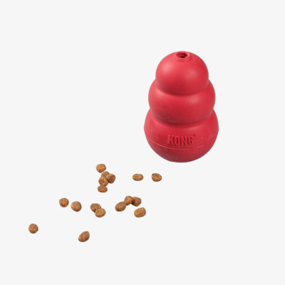 KONG 클래식 중