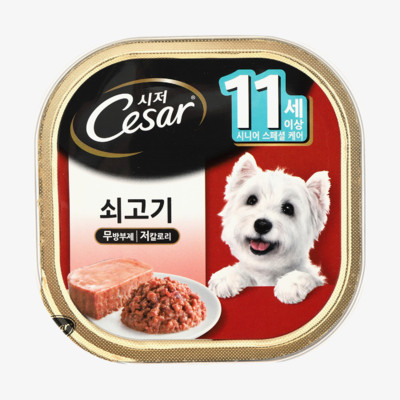 시저 11세이상 쇠고기 캔 100g
