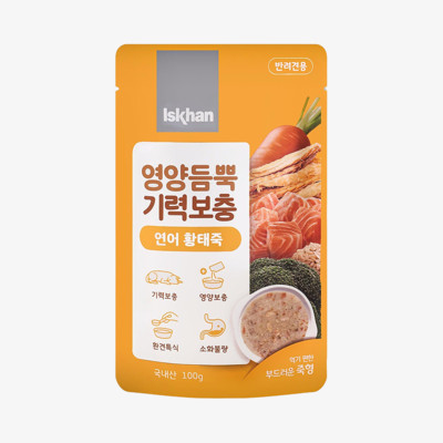 이즈칸 독 영양듬뿍 기력보충 연어 황태죽 100g