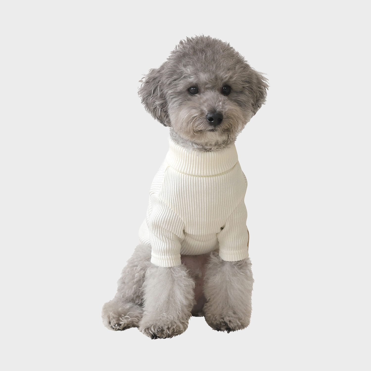 강아지대통령 리카리카 베이직 터틀넥 티셔츠 크림