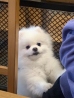 권*혜